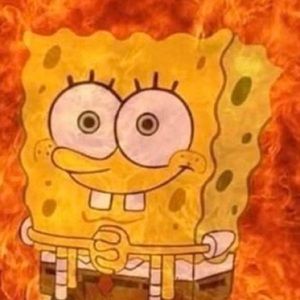 Meet your Posher, Colin